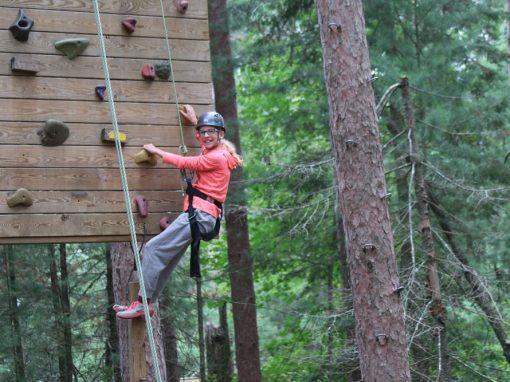 Climbing Wall